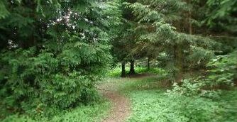 Kall-Krekel-ghardeno